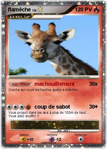 Pokemon flamèche
