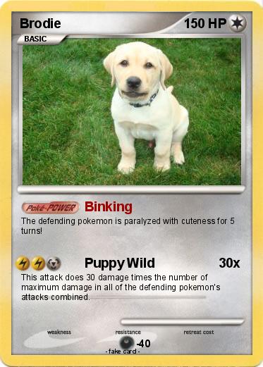 Pokemon Brodie