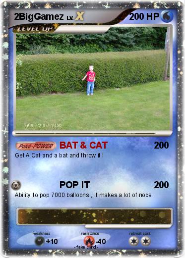 Pokemon 2BigGamez