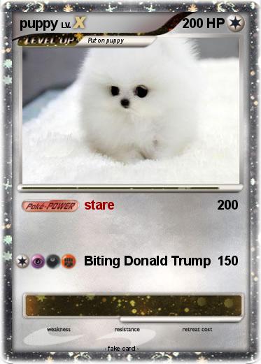 Pokemon puppy