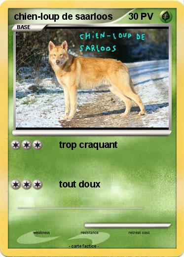 Pokemon chien-loup de saarloos