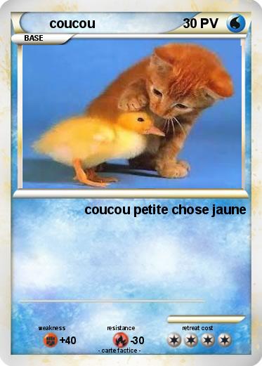 Pokemon coucou