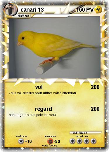 Pokemon canari 13
