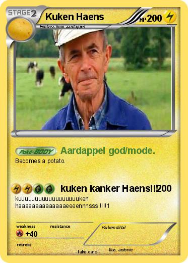 Pokemon Kuken Haens