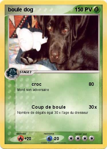 Pokemon boule dog