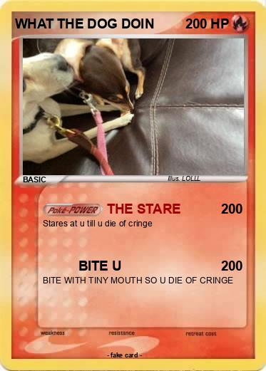 Pokemon WHAT THE DOG DOIN