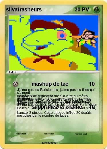 Pokemon silvatrasheurs