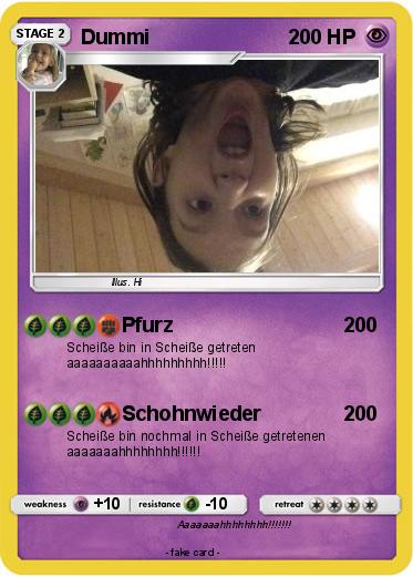Pokemon Dummi