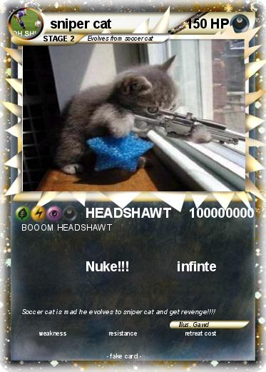 Pokemon sniper cat
