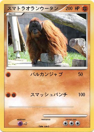 Pokemon スマトラオランウータン