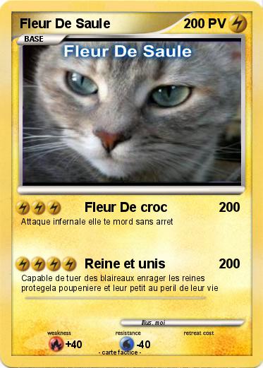 Pokemon Fleur De Saule