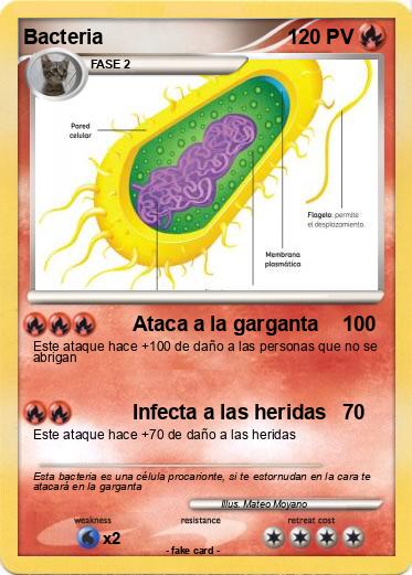 Pokemon Bacteria