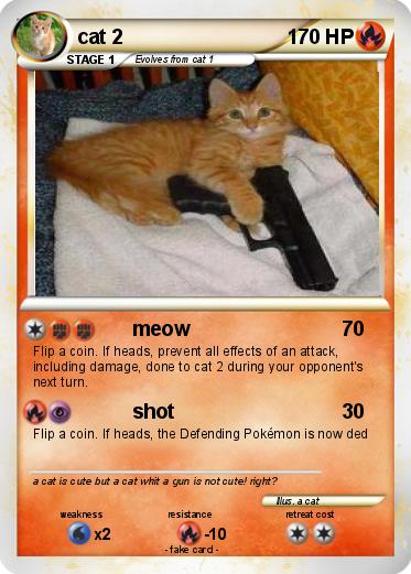 Pokemon cat 2