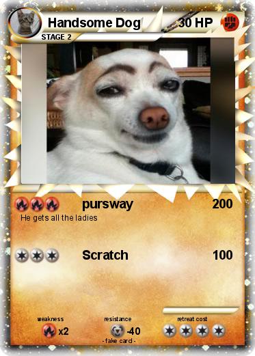 Pokemon Handsome Dog