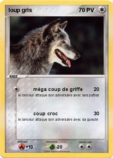 Pokemon loup gris