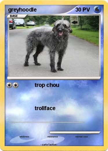 Pokemon greyhoodle