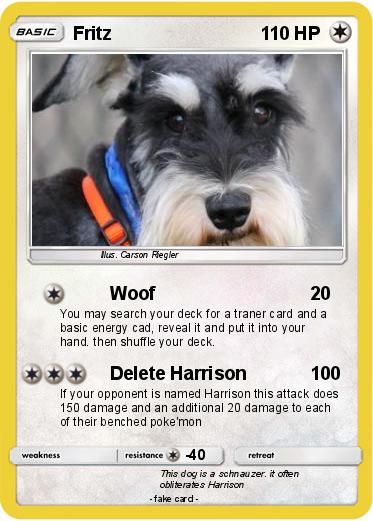 Pokemon Fritz