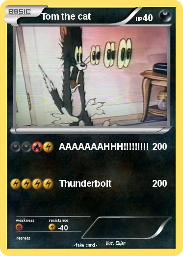 Pokemon Tom the cat