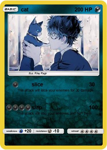 Pokemon cat