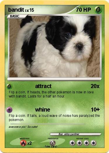 Pokemon bandit