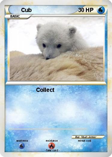 Pokemon Cub