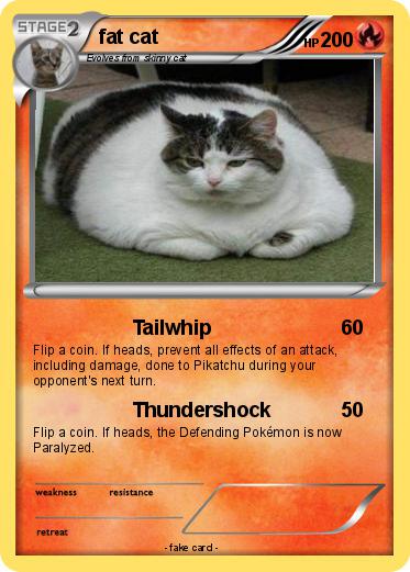 Pokemon fat cat
