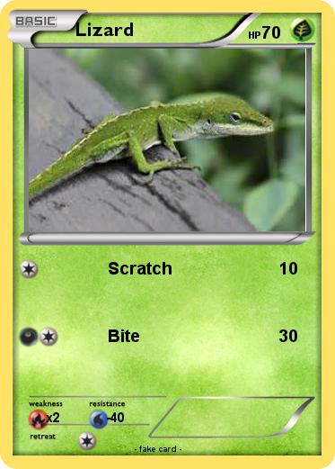 Pokemon Lizard