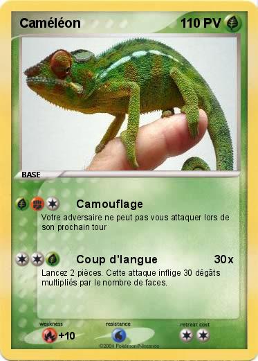 Pokemon Caméléon