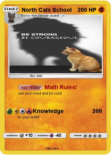 Pokemon North Cats School