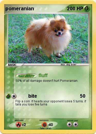 Pokemon pomeranian