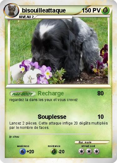 Pokemon bisouilleattaque