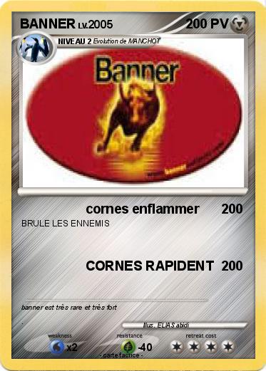 Pokemon BANNER