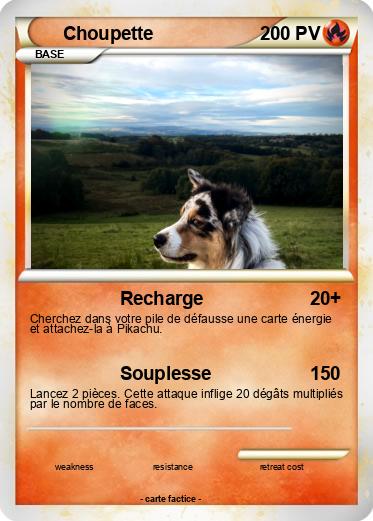 Pokemon Choupette