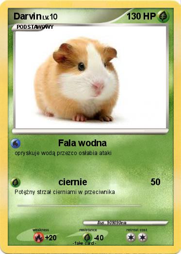 Pokemon Darvin