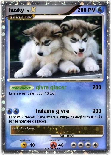 Pokemon husky