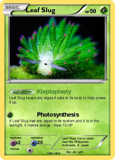 Pokemon Leaf Slug