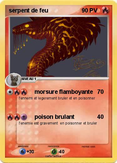 Pokemon serpent de feu