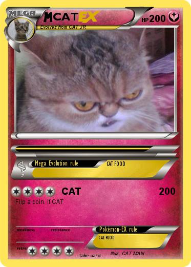 Pokemon CAT