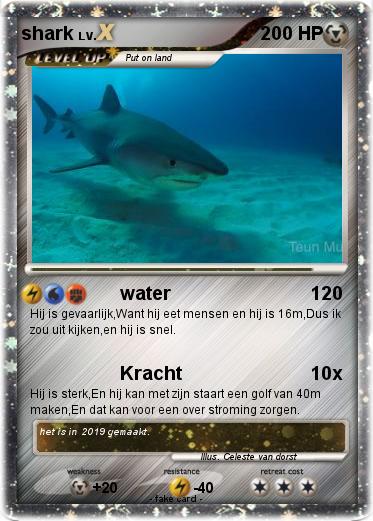 Pokemon shark