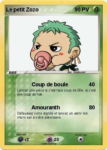 Pokemon Le petit Zozo