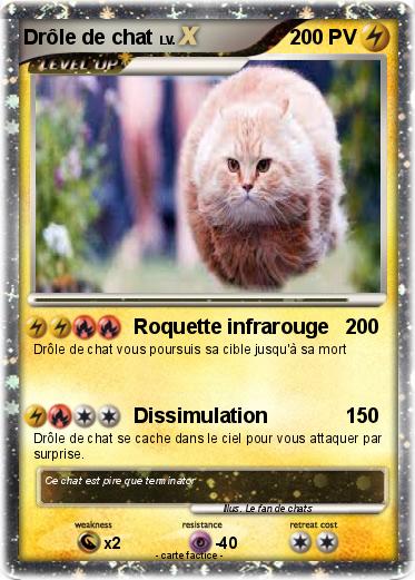 Pokemon Drôle de chat