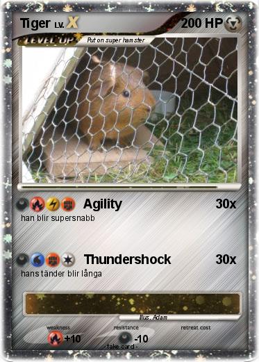 Pokemon Tiger