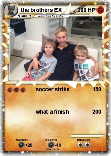 Pokemon the brothers EX
