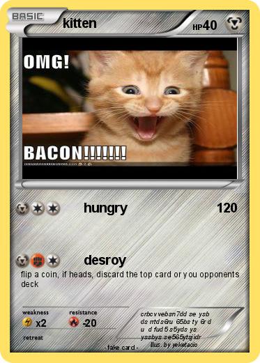 Pokemon kitten