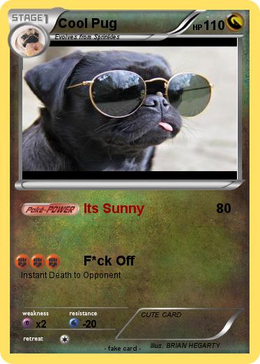 Pokemon Cool Pug
