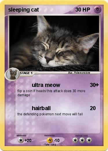 Pokemon sleeping cat