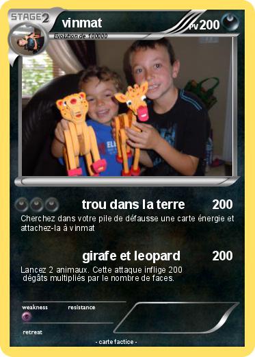 Pokemon vinmat