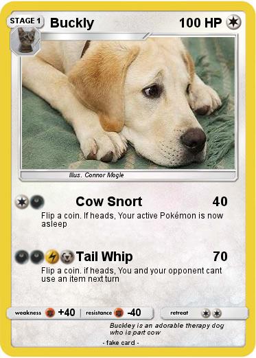 Pokemon Buckly