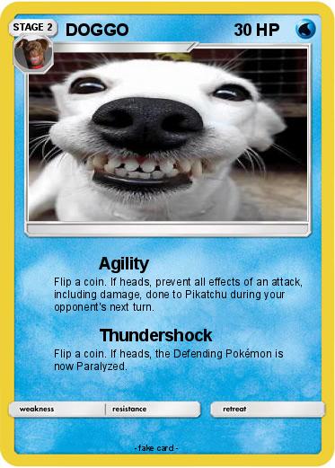 Pokemon DOGGO