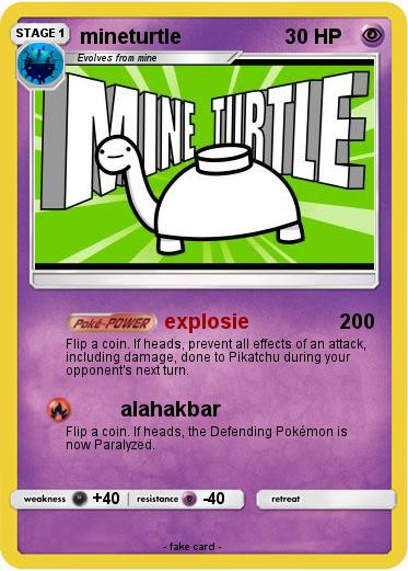 Pokemon mineturtle